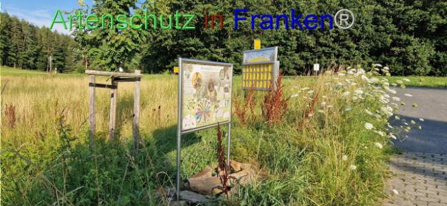 © Artenschutz in Franken® Bild zum Eintrag (1108988-160)