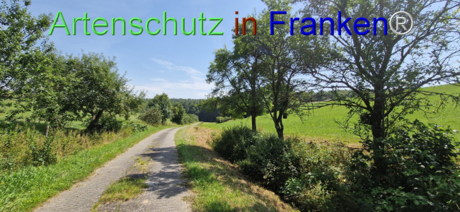 © Artenschutz in Franken® Bild zum Eintrag (1109650-160)