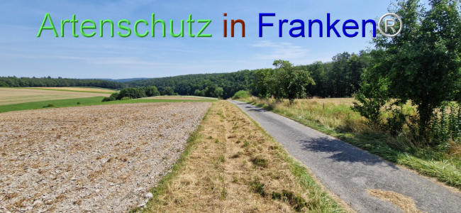 © Artenschutz in Franken® Bild zum Eintrag (1109678-160)