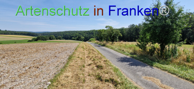 © Artenschutz in Franken® Bild zum Eintrag (1109681-160)