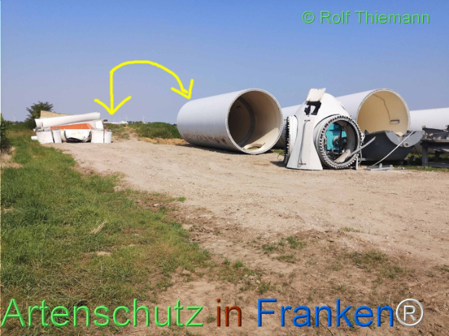 © Artenschutz in Franken® / Rolf Thiemann Bild zum Eintrag (1111463-160)
