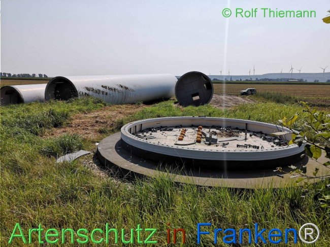 © Artenschutz in Franken® / Rolf Thiemann Bild zum Eintrag (1111464-160)