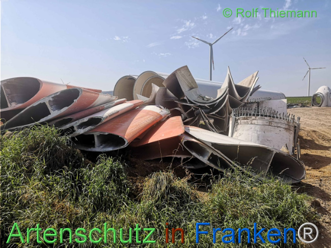 © Artenschutz in Franken® / Rolf Thiemann Bild zum Eintrag (1111465-160)