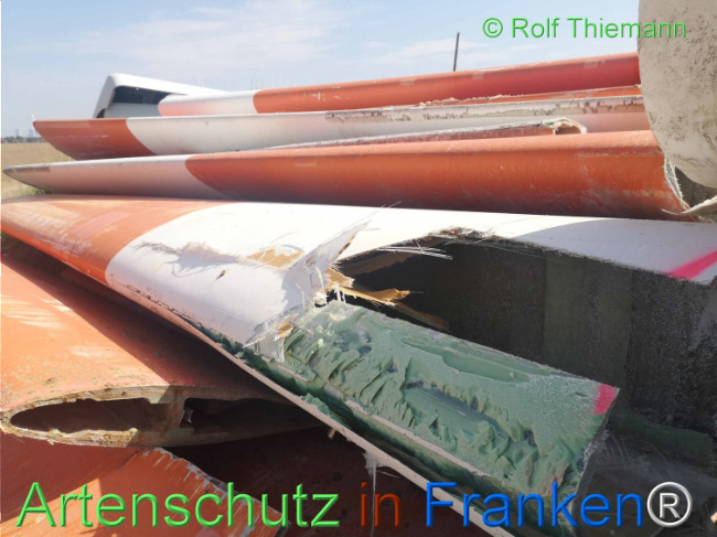 © Artenschutz in Franken® / Rolf Thiemann Bild zum Eintrag (1111470-160)