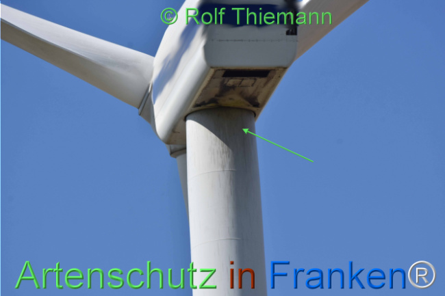 © Artenschutz in Franken® / Rolf Thiemann Bild zum Eintrag (1111485-160)