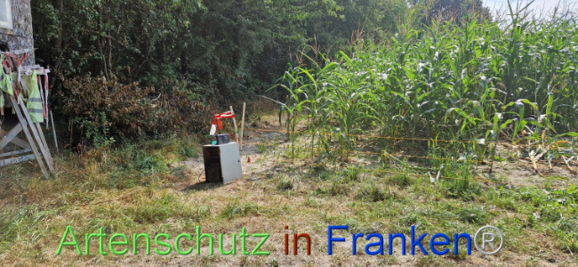 © Artenschutz in Franken® Bild zum Eintrag (1112013-160)