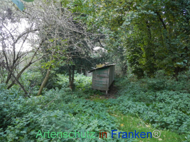 © Artenschutz in Franken® Bild zum Eintrag (1113294-160)