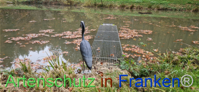 © Artenschutz in Franken® Bild zum Eintrag (1114336-160)