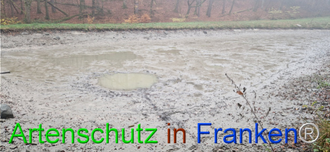 © Artenschutz in Franken® Bild zum Eintrag (1114778-160)