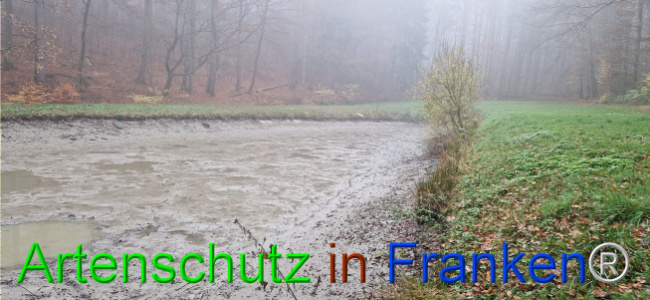 © Artenschutz in Franken® Bild zum Eintrag (1114779-160)