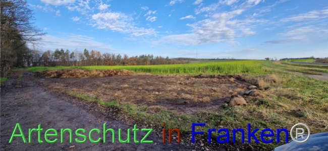 © Artenschutz in Franken® Bild zum Eintrag (1115572-160)