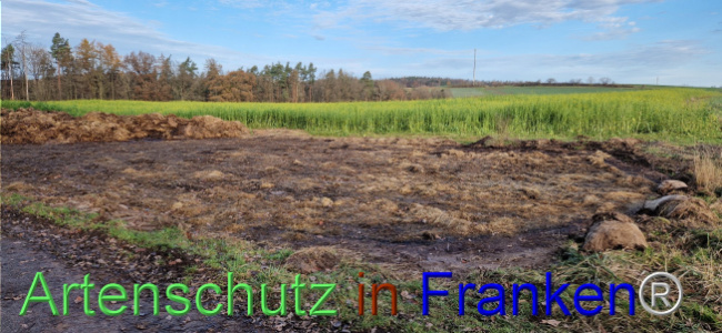 © Artenschutz in Franken® Bild zum Eintrag (1115581-160)