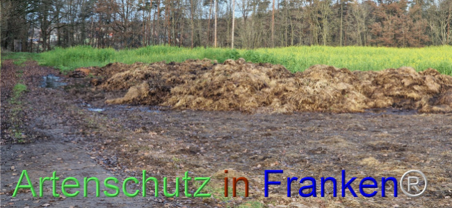 © Artenschutz in Franken® Bild zum Eintrag (1115582-160)