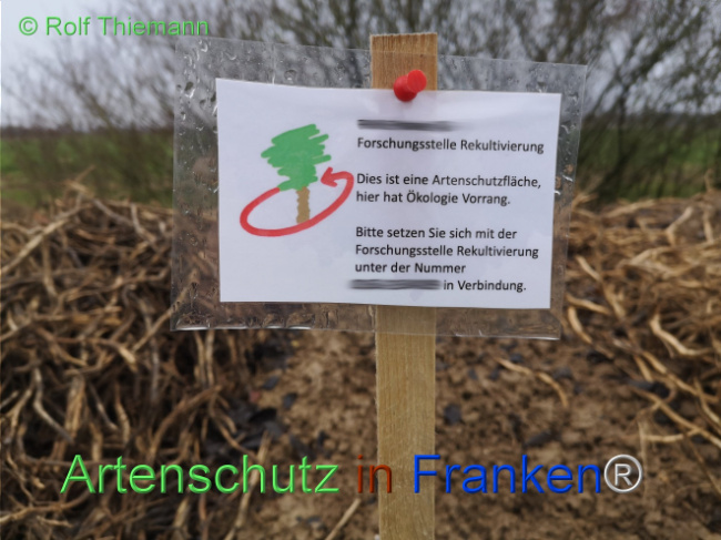 © Artenschutz in Franken® / Rolf Thiemann Bild zum Eintrag (1116665-160)