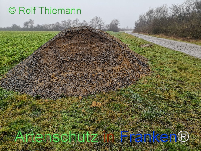 © Artenschutz in Franken® / Rolf Thiemann Bild zum Eintrag (1116667-160)