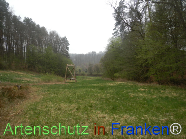 © Artenschutz in Franken® Bild zum Eintrag (1121089-160)