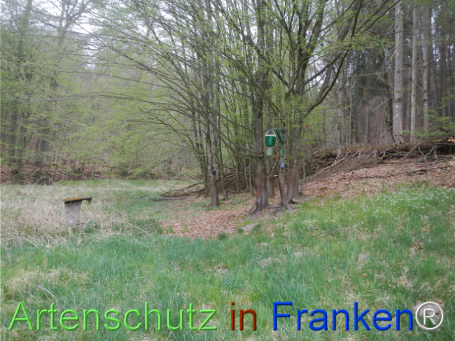 © Artenschutz in Franken® Bild zum Eintrag (1121092-160)