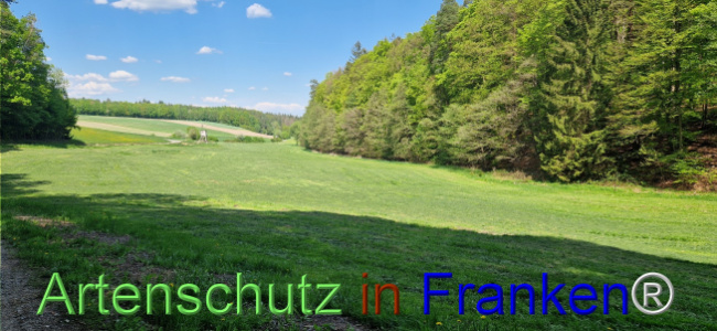© Artenschutz in Franken® Bild zum Eintrag (1121530-160)