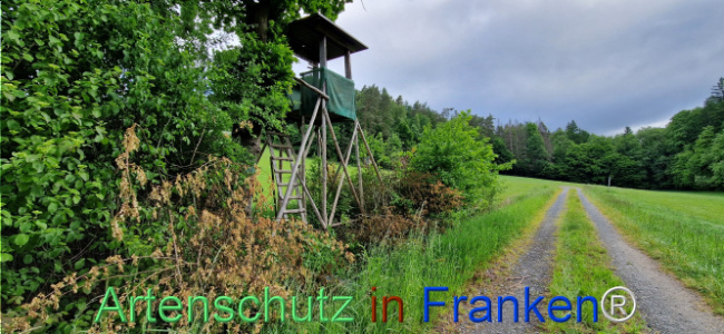 © Artenschutz in Franken® Bild zum Eintrag (1122460-160)