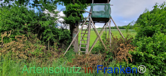 © Artenschutz in Franken® Bild zum Eintrag (1122466-160)