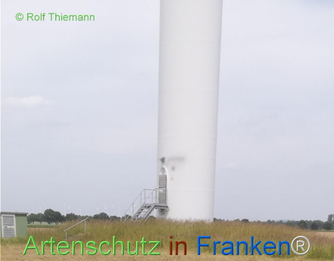 © Artenschutz in Franken® / Rolf Thiemann Bild zum Eintrag (1122745-160)