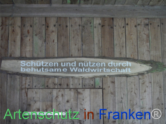 © Artenschutz in Franken® Bild zum Eintrag (1122793-160)