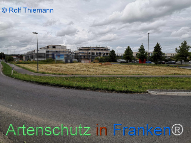 © Artenschutz in Franken® / Rolf Thiemann Bild zum Eintrag (1122957-160)