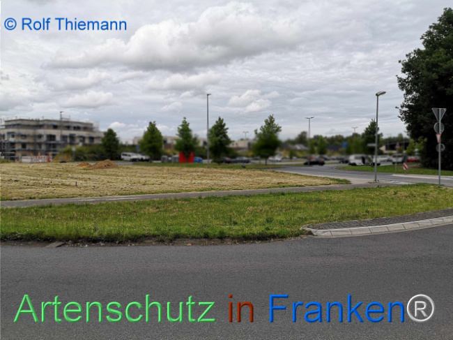 © Artenschutz in Franken® / Rolf Thiemann Bild zum Eintrag (1122958-160)