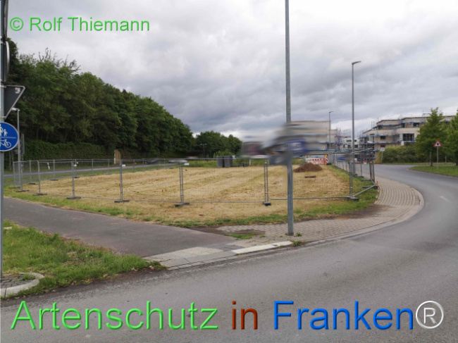 © Artenschutz in Franken® / Rolf Thiemann Bild zum Eintrag (1123005-160)