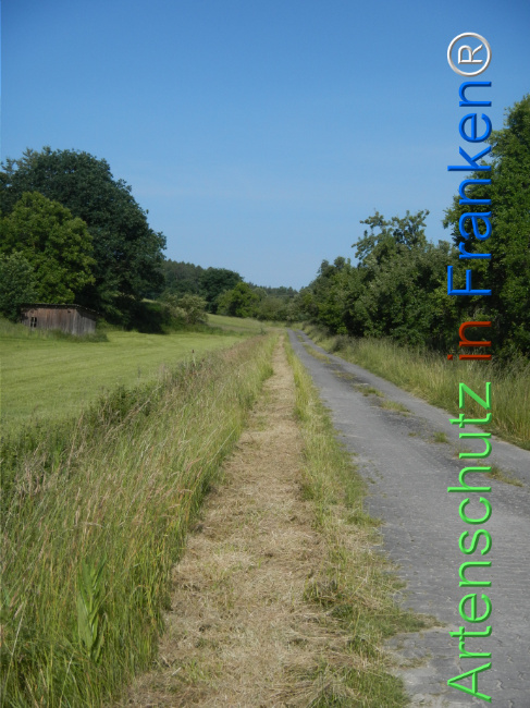 © Artenschutz in Franken® Bild zum Eintrag (1123303-160)