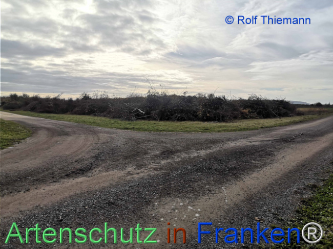 Bild zum Eintrag (1128780-160)