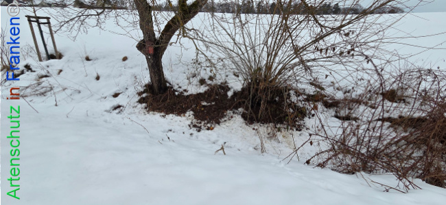 Bild zum Eintrag (1134898-160)