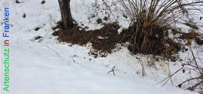 Bild zum Eintrag (1134899-160)