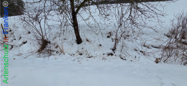 Bild zum Eintrag (1134902-160)