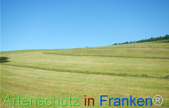 Bild zum Eintrag (1142277-160)