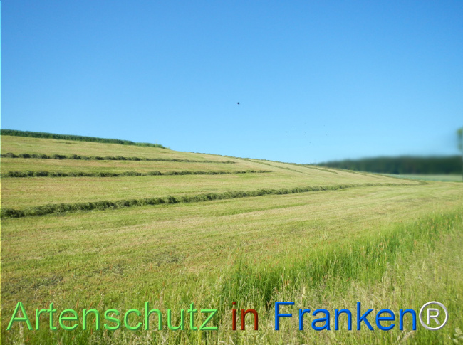 Bild zum Eintrag (1142278-160)