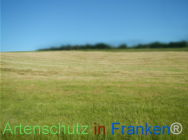 Bild zum Eintrag (1142279-160)