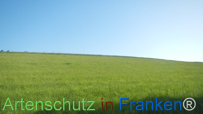 Bild zum Eintrag (1142280-160)
