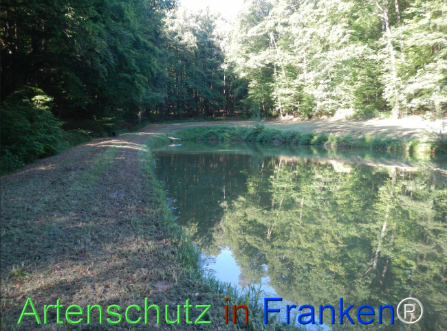 Bild zum Eintrag (1142507-160)