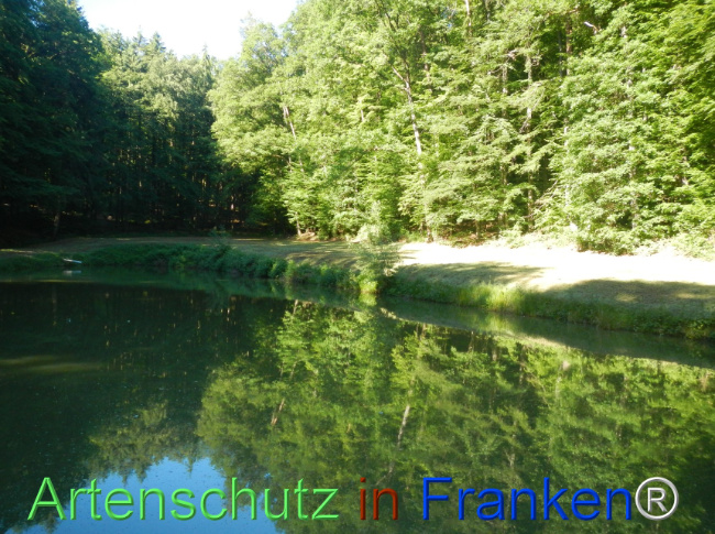 Bild zum Eintrag (1142515-160)