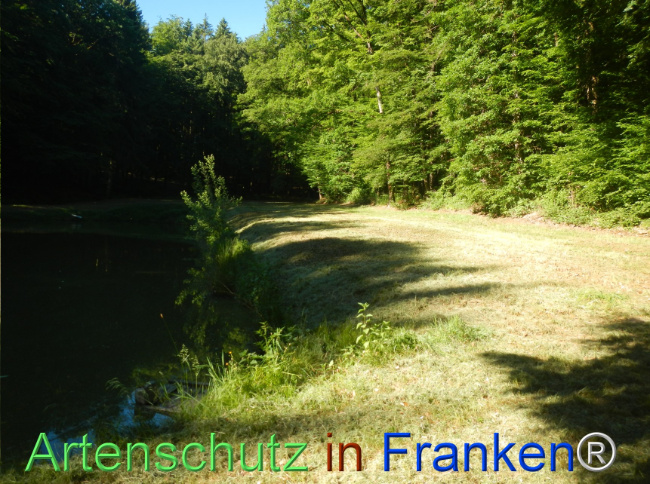 Bild zum Eintrag (1142516-160)