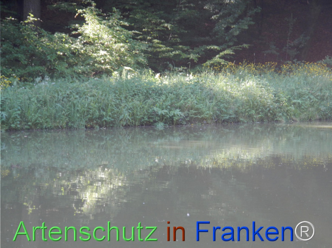 Bild zum Eintrag (1142517-160)
