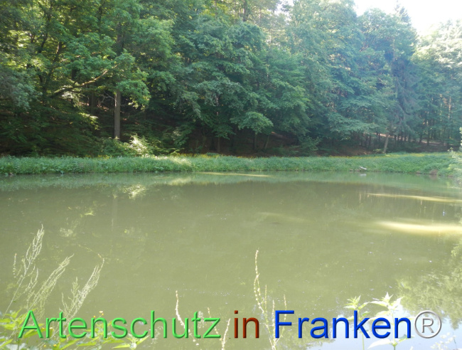 Bild zum Eintrag (1142518-160)