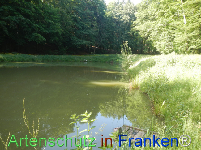 Bild zum Eintrag (1142519-160)
