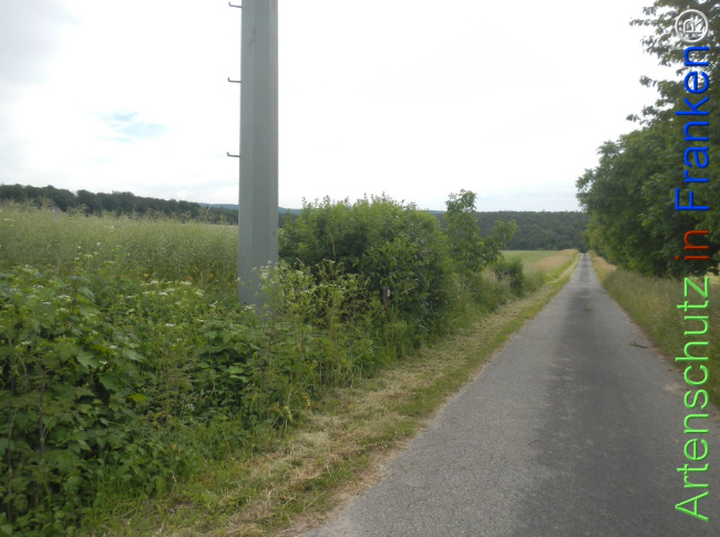 Bild zum Eintrag (1143348-160)