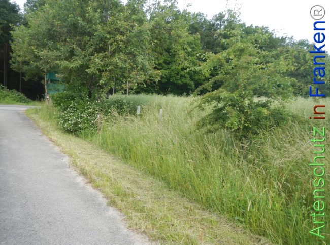 Bild zum Eintrag (1143349-160)