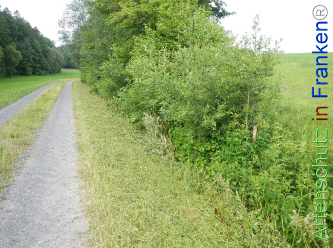 Bild zum Eintrag (1143350-160)
