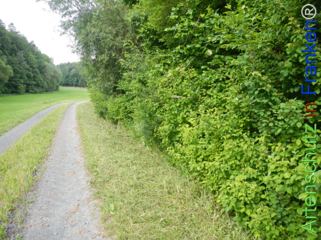 Bild zum Eintrag (1143356-160)