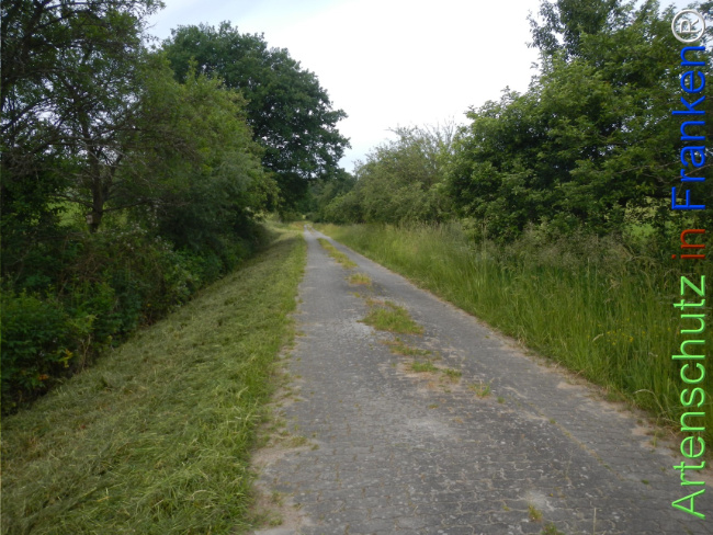 Bild zum Eintrag (1143359-160)