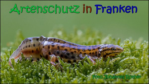Bild zum Eintrag (1144227-160)